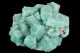 Amazonite Crystal Cluster - Colorado #129239-2